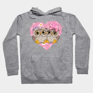 Two cute lovesick owls and a pink heart on the background Hoodie